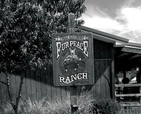 FUR PEACE RANCH